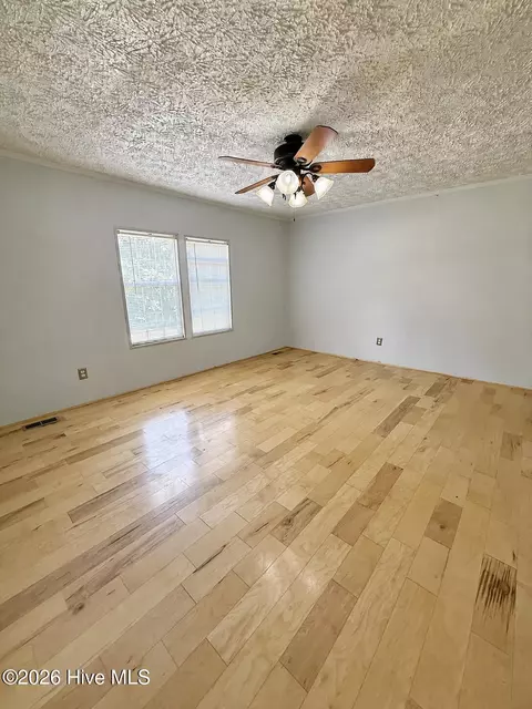 6549 Snider Rd, Mitchell, GA 30820 photo 12