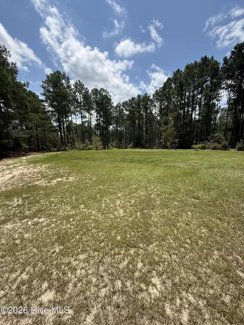 6549 Snider Rd, Mitchell, GA 30820 photo 7