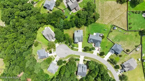 View/Area - 115 Bunchberry Ct, Hampstead, NC 28443 photo 2 of 5