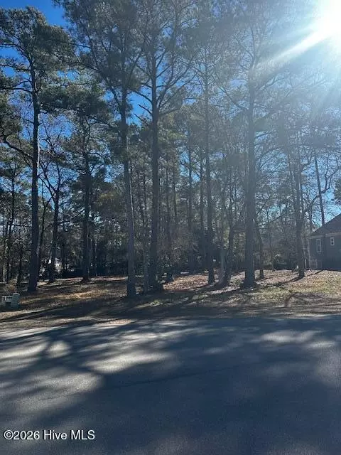 137 Eagle Ct SW, Supply, NC 28462 photo 3