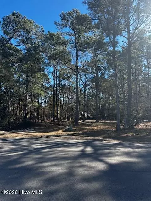 137 Eagle Ct SW, Supply, NC 28462 photo 2
