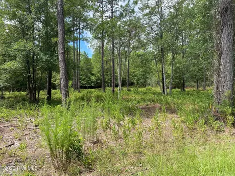 361 Ash Rd, Boiling Spring Lakes, NC 28461 photo 3