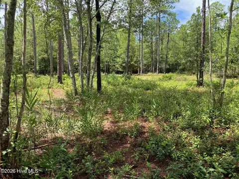 361 Ash Rd, Boiling Spring Lakes, NC 28461 photo 2