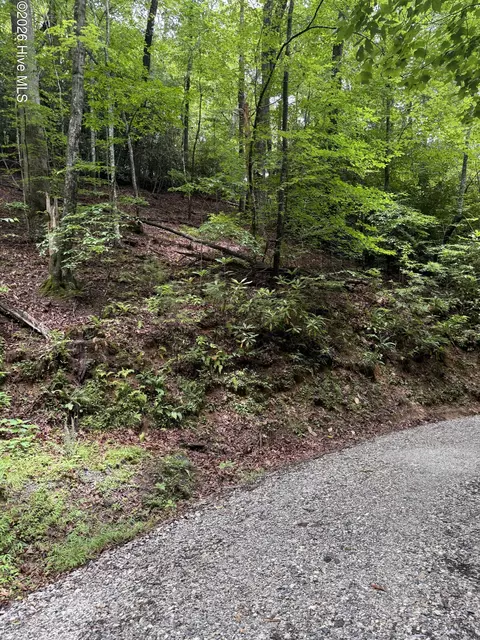 9 Indian Lake Rd, Topton, NC 28781