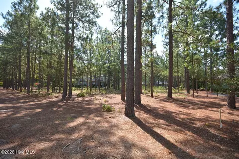 45 Abbottsford Dr, Pinehurst, NC 28374 photo 15