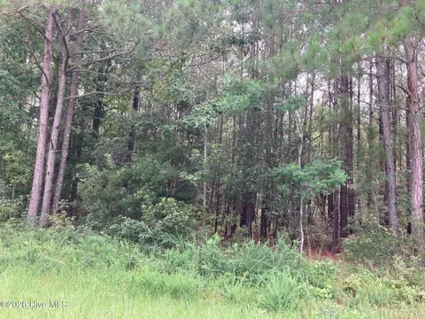 lot Apt 33 33 Pine Crest Rd, Bath, NC 27808 photo 3