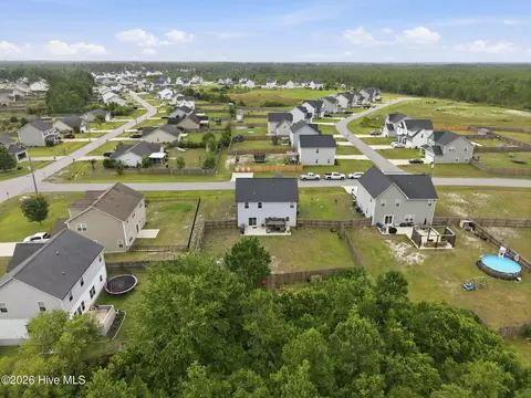 View/Area - 284 E Ivybridge Dr, Hubert, NC 28539 photo 8 of 15
