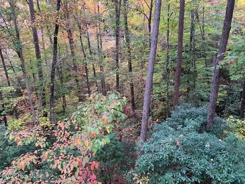 27 Laurel Ln, Topton, NC 28781