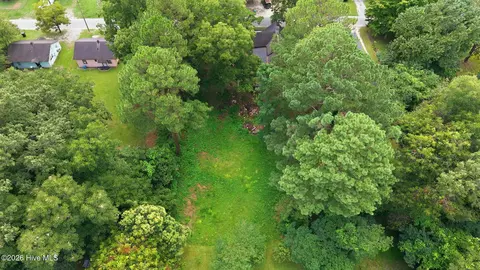 View/Area - 211 E Williamson St, Mount Olive, NC 28365 photo 1 of 1