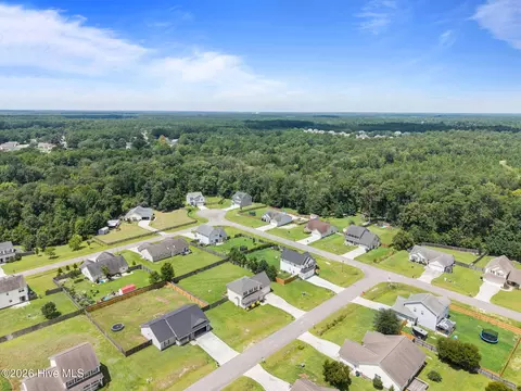 View/Area - 302 Springcreek Ct, Hubert, NC 28539 photo 7 of 11
