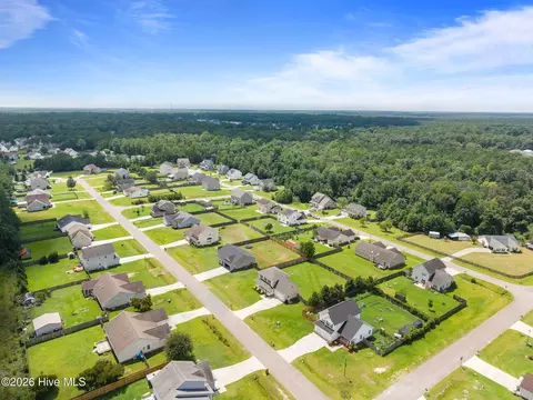 View/Area - 302 Springcreek Ct, Hubert, NC 28539 photo 6 of 11