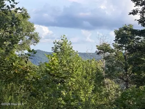 13 Little Choga Rd, Topton, NC 28781
