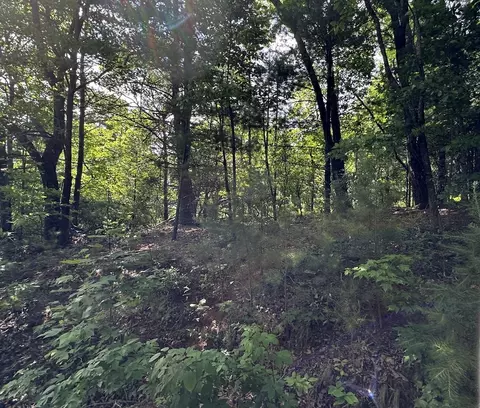 lot31 Peak Trl, Murphy, NC 28906 photo 5