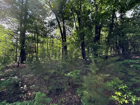 lot31 Peak Trl, Murphy, NC 28906 photo 6