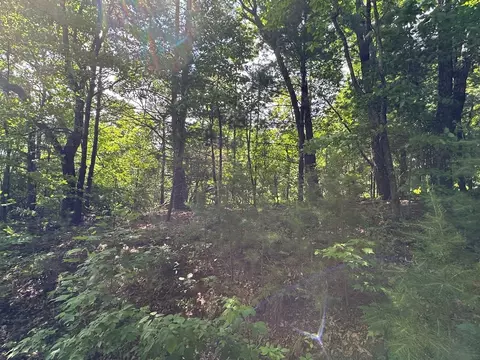 lot31 Peak Trl, Murphy, NC 28906 photo 4