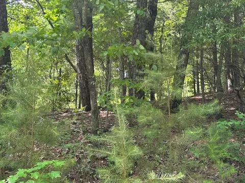 lot31 Peak Trl, Murphy, NC 28906 photo 2