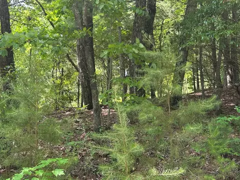lot31 Peak Trl, Murphy, NC 28906 photo 3