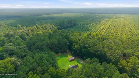 Other - 9870 Hwy 33 E, Chocowinity, NC 27817 photo 23 of 25