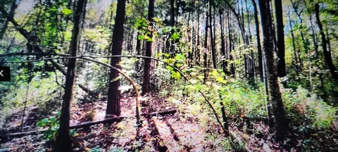 lot1 Sr 1178 Hwy, Chocowinity, NC 27817 photo 4