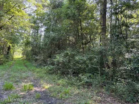 lot6 E Wilmington St, Burgaw, NC 28425