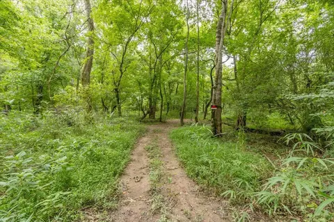 Other - 706 William Ave, Appling, GA 30802 photo 17 of 18