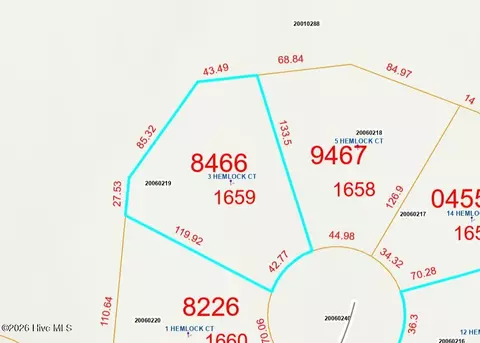 Other - 3 Hemlock Ct, Pinehurst, NC 28374 photo 7 of 10