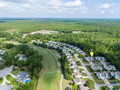 View/Area - 103 Kiskadee Ct, Hampstead, NC 28443 photo 7 of 7