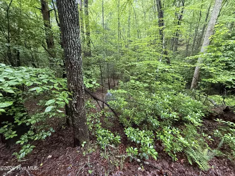 lot28 Atoah Loop, Murphy, NC 28906 photo 11