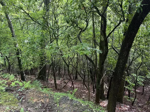 lot28 Atoah Loop, Murphy, NC 28906 photo 5