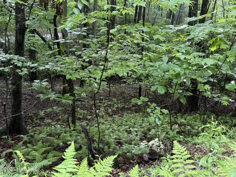 lot28 Atoah Loop, Murphy, NC 28906 photo 9
