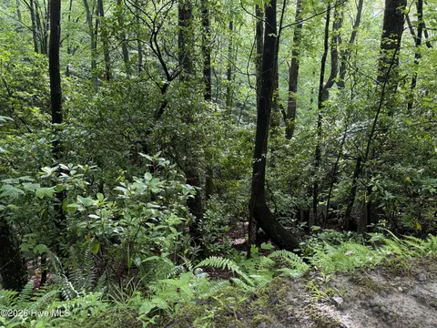lot28 Atoah Loop, Murphy, NC 28906 photo 8