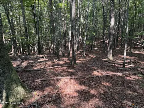 919 Panther Top Rd, Murphy, NC 28906 photo 7