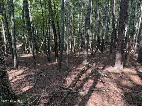 919 Panther Top Rd, Murphy, NC 28906 photo 8