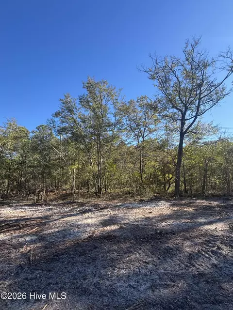 lot121 Coral Gull St, Southport, NC 28461