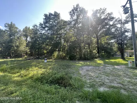 3 Ivanhoe Rd, Ivanhoe, NC 28447 photo 4