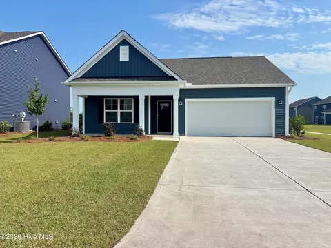 1110 Pampas Grass Dr #LOT 340, Castle Hayne, NC 28429