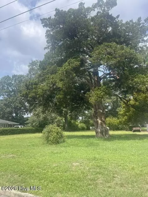 3314 N Pitt St, Farmville, NC 27828