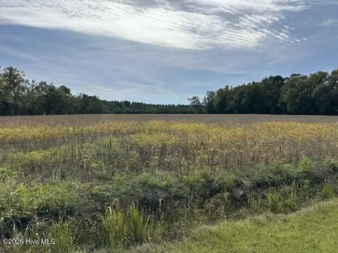 721 Joe Piver Rd, Chadbourn, NC 28431