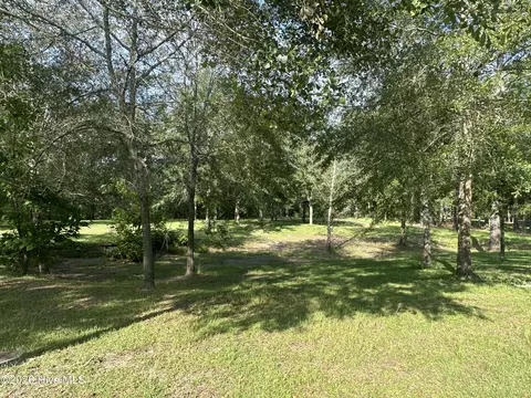43 Black River Ln, Harrells, NC 28444 photo 7