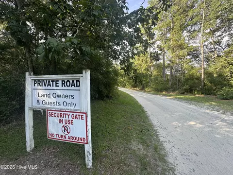 43 Black River Ln, Harrells, NC 28444 photo 3