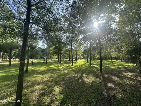 43 Black River Ln, Harrells, NC 28444 photo 13
