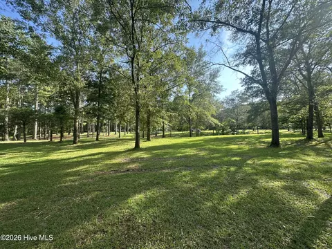 43 Black River Ln, Harrells, NC 28444 photo 8