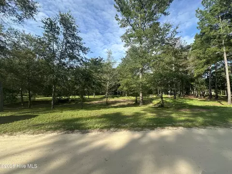 43 Black River Ln, Harrells, NC 28444 photo 6