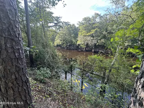 43 Black River Ln, Harrells, NC 28444 photo 9