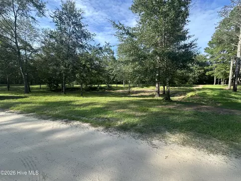 43 Black River Ln, Harrells, NC 28444 photo 5