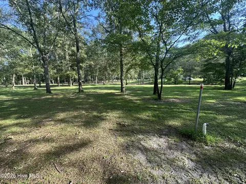 43 Black River Ln, Harrells, NC 28444 photo 11
