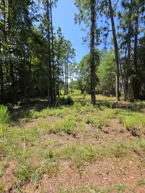 44 Pine Shores Dr, Southport, NC 28461