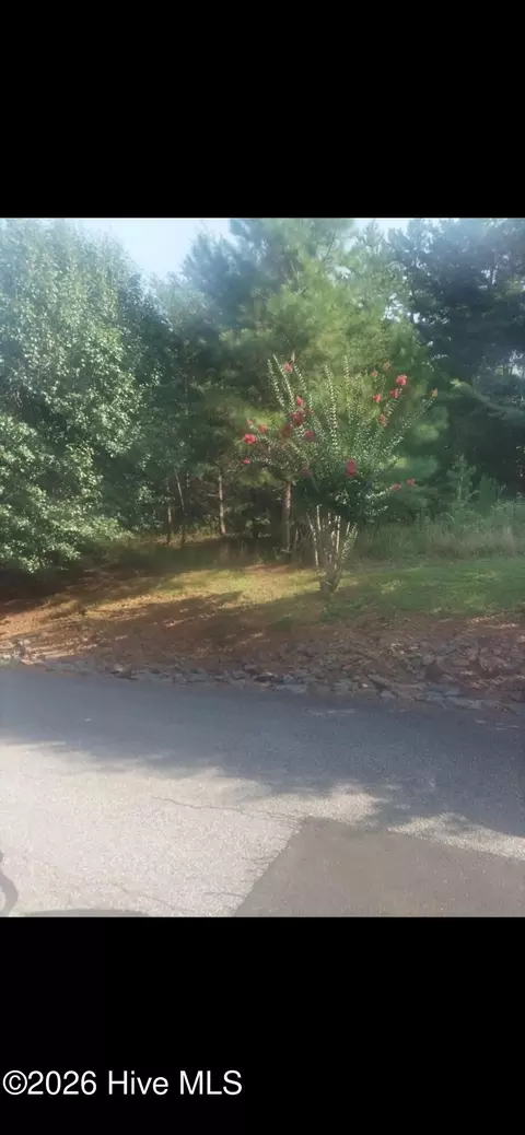 3 Dasali Way, Murphy, NC 28906 photo 3