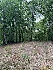 lot Apt 46 Pine Cove Ln, Murphy, NC 28906 photo 12