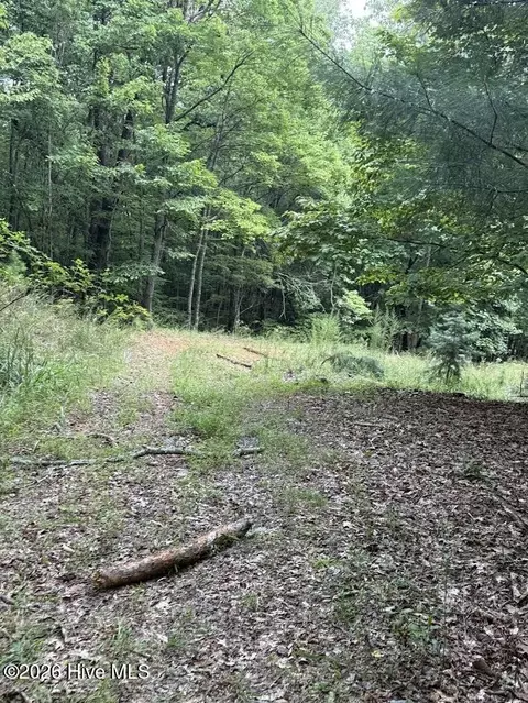 lot Apt 46 Pine Cove Ln, Murphy, NC 28906 photo 2